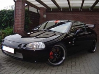 Andre's delsol