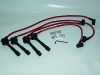 Ignition wires