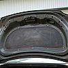 Trunk