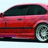 Fender flares (rear)
