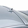 Rear wing roof