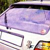 Rear wing roof