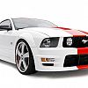 Bodykit