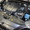 Short ram air intake