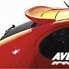 Rear wing roof