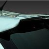 Rear Wing Roof