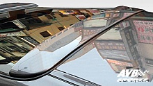 Rear wing (window)