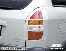 Taillight covers