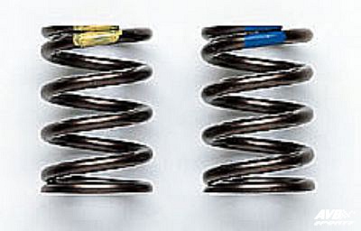 Valve spring