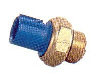Thermo switch