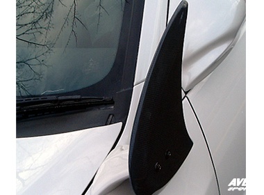 Front fender wing