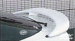 Rear Wing