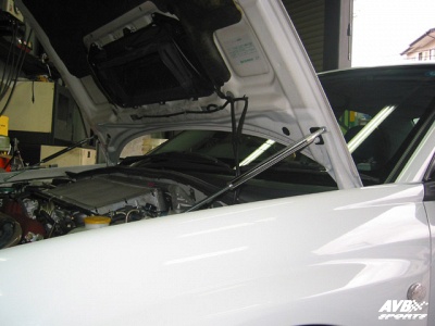 Hood damper