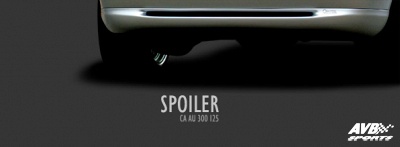 Rear lip