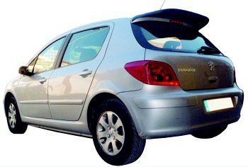 Rear wing roof