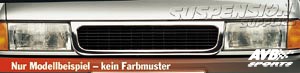 Grillspoiler