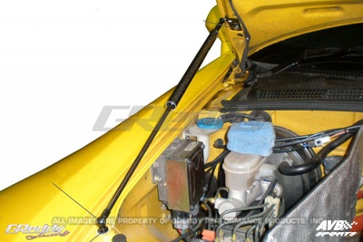 Hood dampers