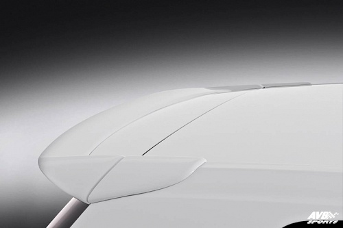 Rear wing roof