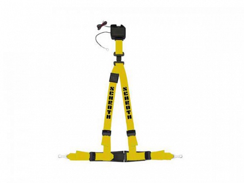 Harness
