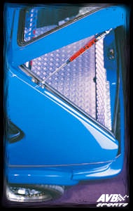 Trunk lift