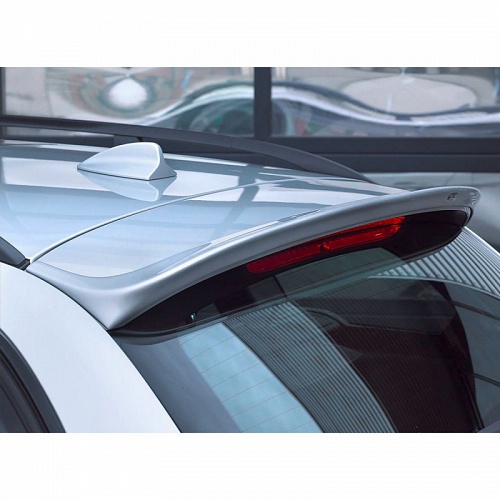 Roof wing