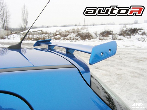 Roof wing
