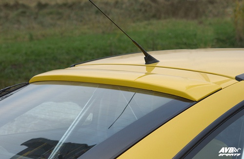 Rear window trim