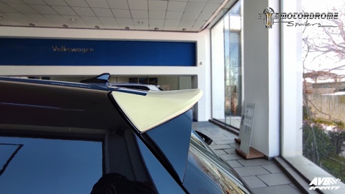 Rear wing roof