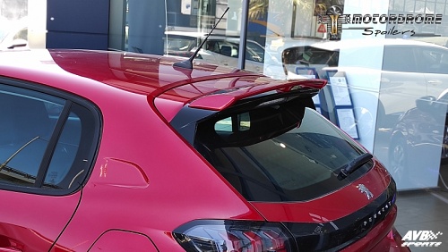 Rear wing roof