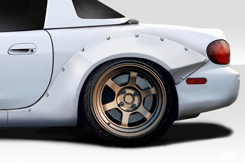 Fender flares (rear)