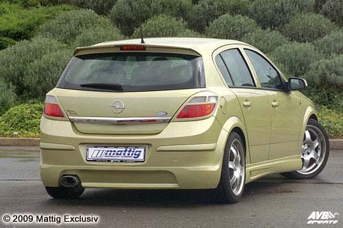 Taillight covers